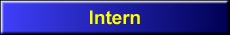 Intern